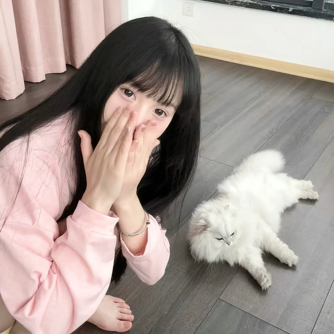 缅甸竖琴 在线观看